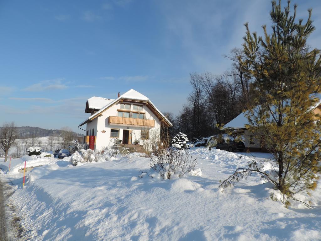 Villa Katarina Mokronog Exterior photo